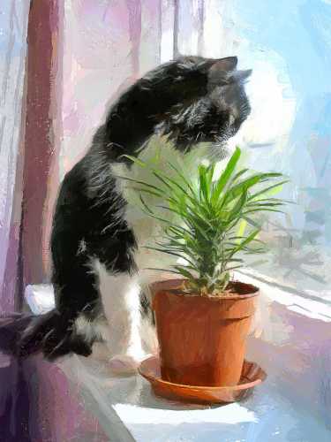 ������������ ������� - ������� �� ����