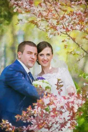 ������������ ������� - ������� �� ����