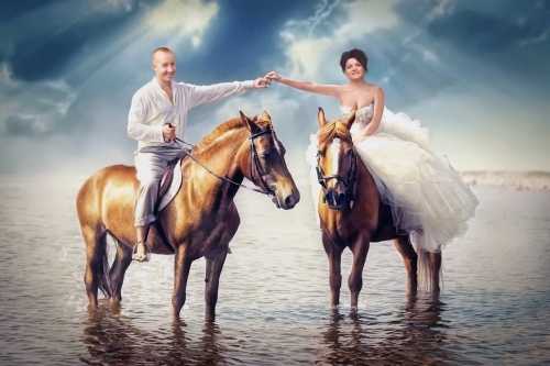 ������������ ������� - ������� �� ����