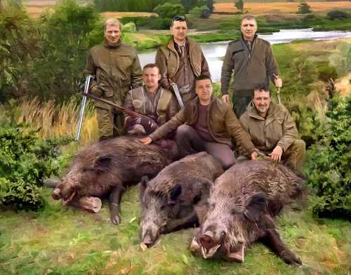 ������������ ������� - ������� �� ����