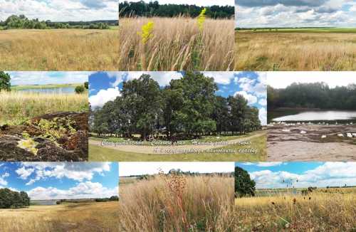 ������������ ������� - ������� �� ����