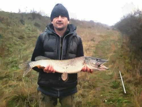 ������������ ������� - ������� �� ����