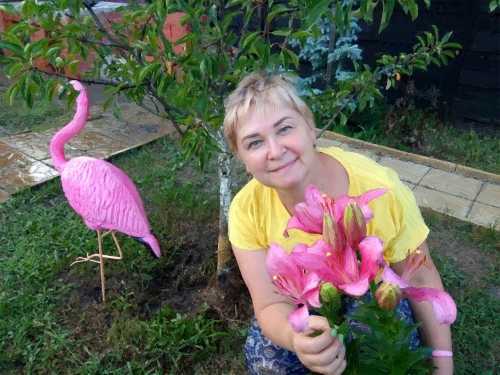 ������������ ������� - ������� �� ����