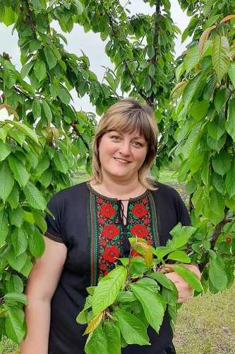 ������������ ������� - ������� �� ����