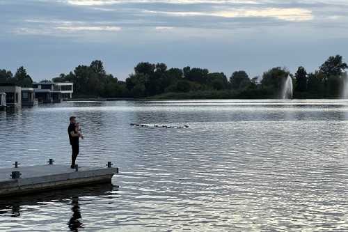 ������������ ������� - ������� �� ����