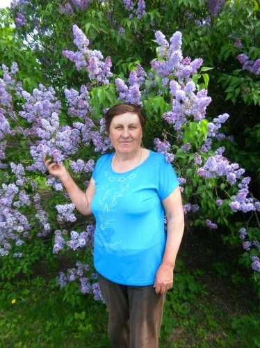 ������������ ������� - ������� �� ����