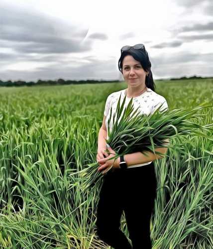 ������������ ������� - ������� �� ����