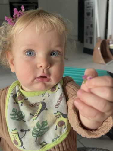 ������������ ������� - ������� �� ����